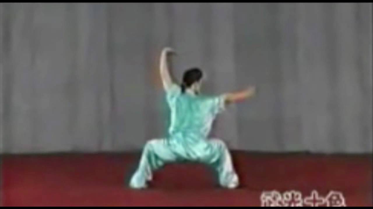 Wu Bu Quan 五步拳