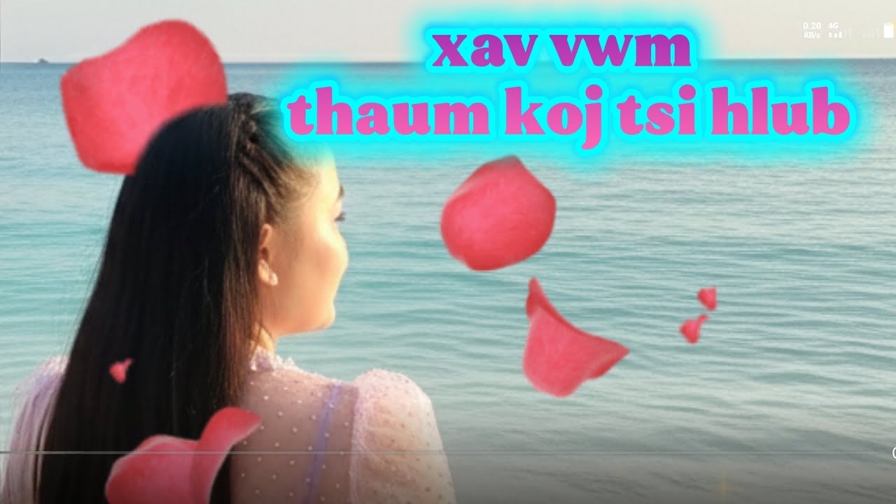 Xav vwm thaum koj tsi hlub Cover #nkaujhmoob #cover #ncohmoob 
