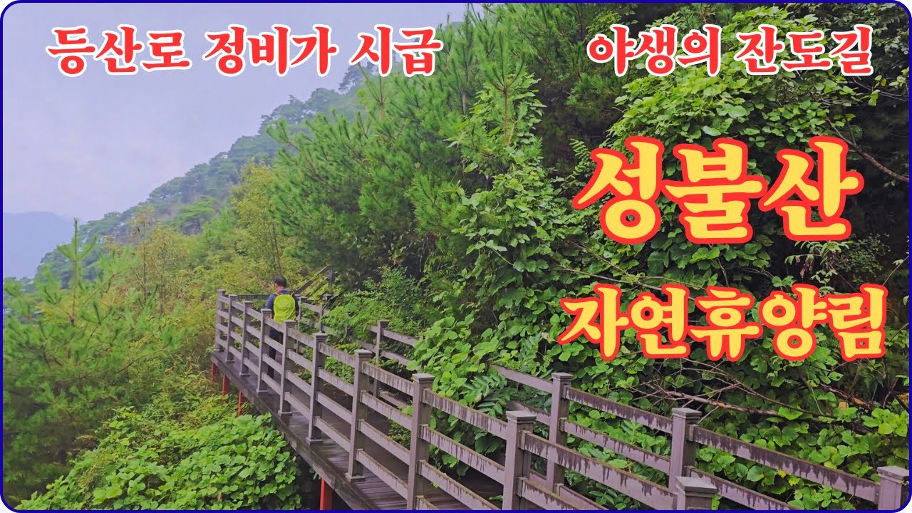 다시찾은 성불산 야생의 잔도길을 걷다.