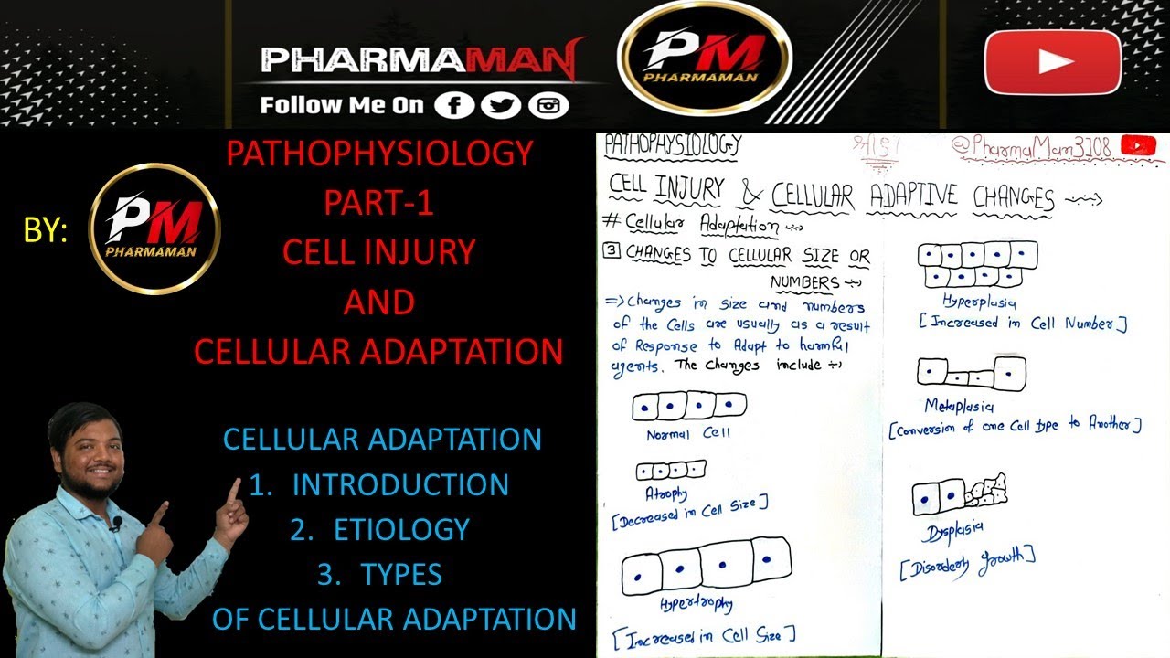 PART-1 CELL INJURY & ADAPTATION || CELLULAR ADAPTATION || TYPES || PATHOPHYSIOLOGY || PHARMACY