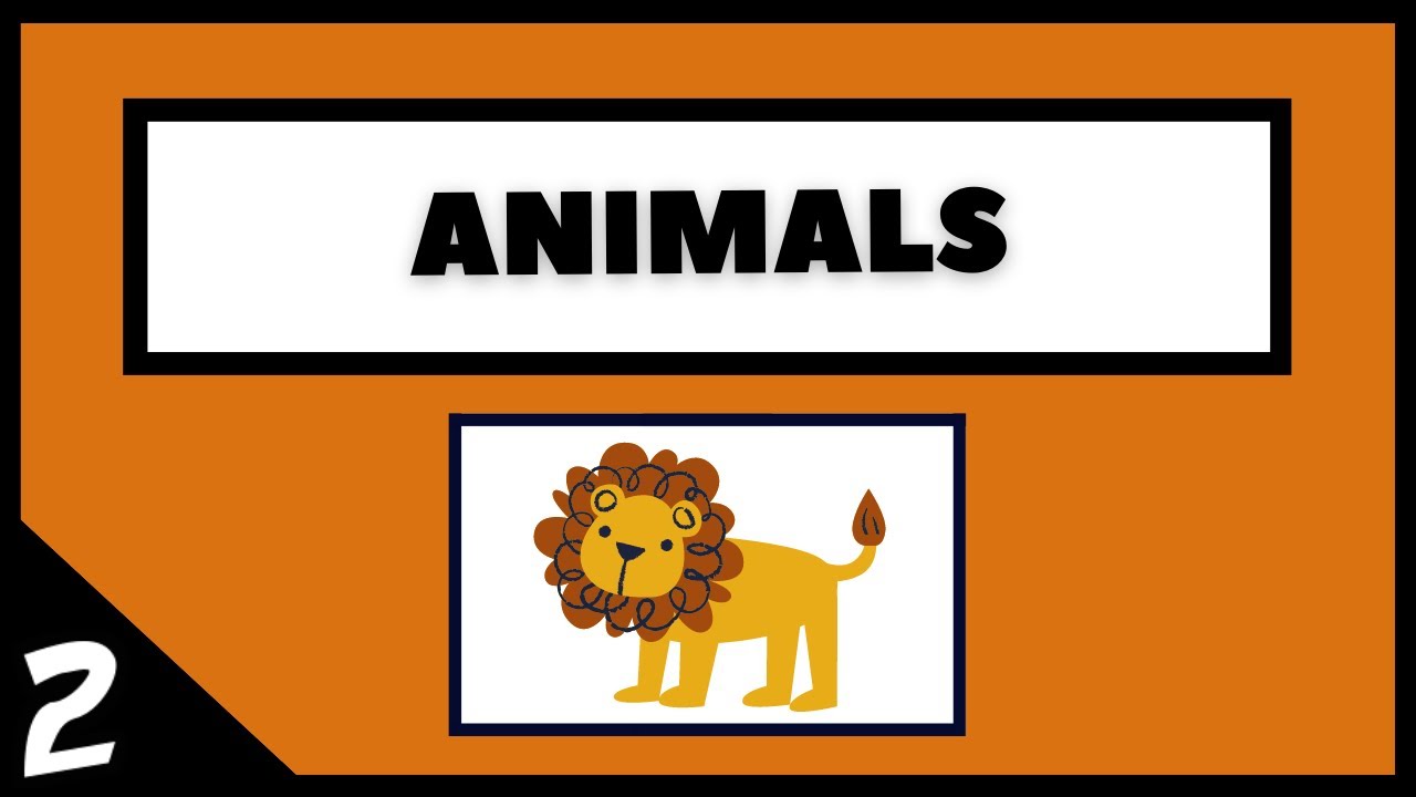 Animals 2 - Learn Turkish with Audio!