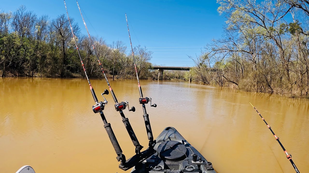 Catfishing for Cash