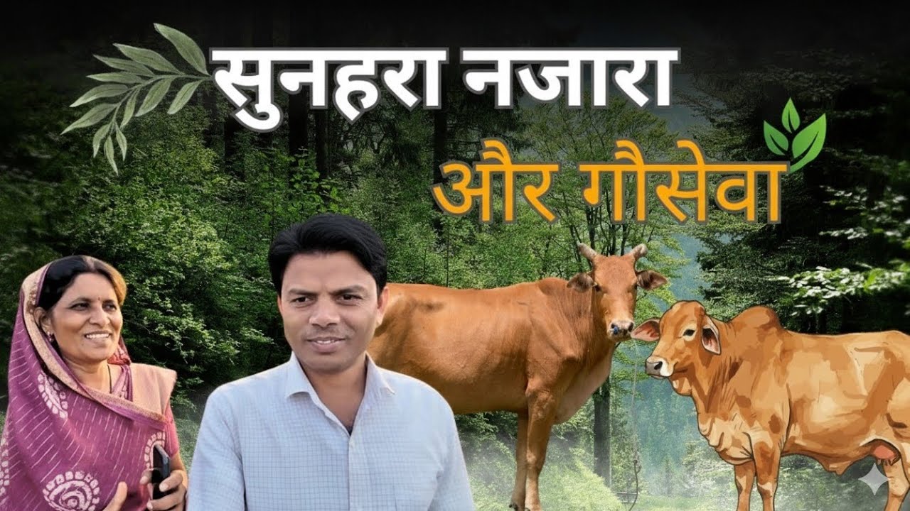 Subah ka khana | Jungle ka sukoon bhara najara 🌿 | Gaushala mein Gau Seva 🐄