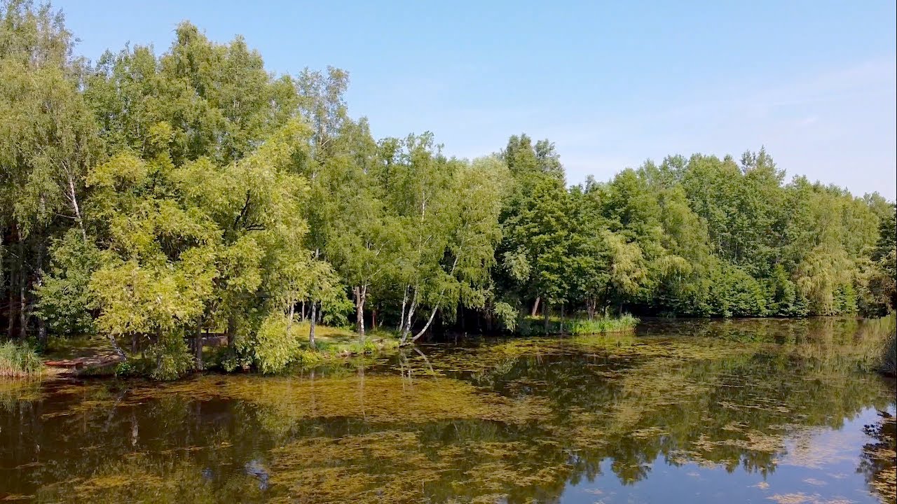 Kazimierz Górniczy park im. Jacka Kuronia widok z drona