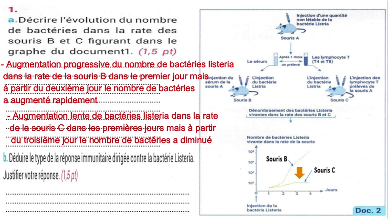 3AC - (Correction) Examen régional de l'oriental  2019 SVT