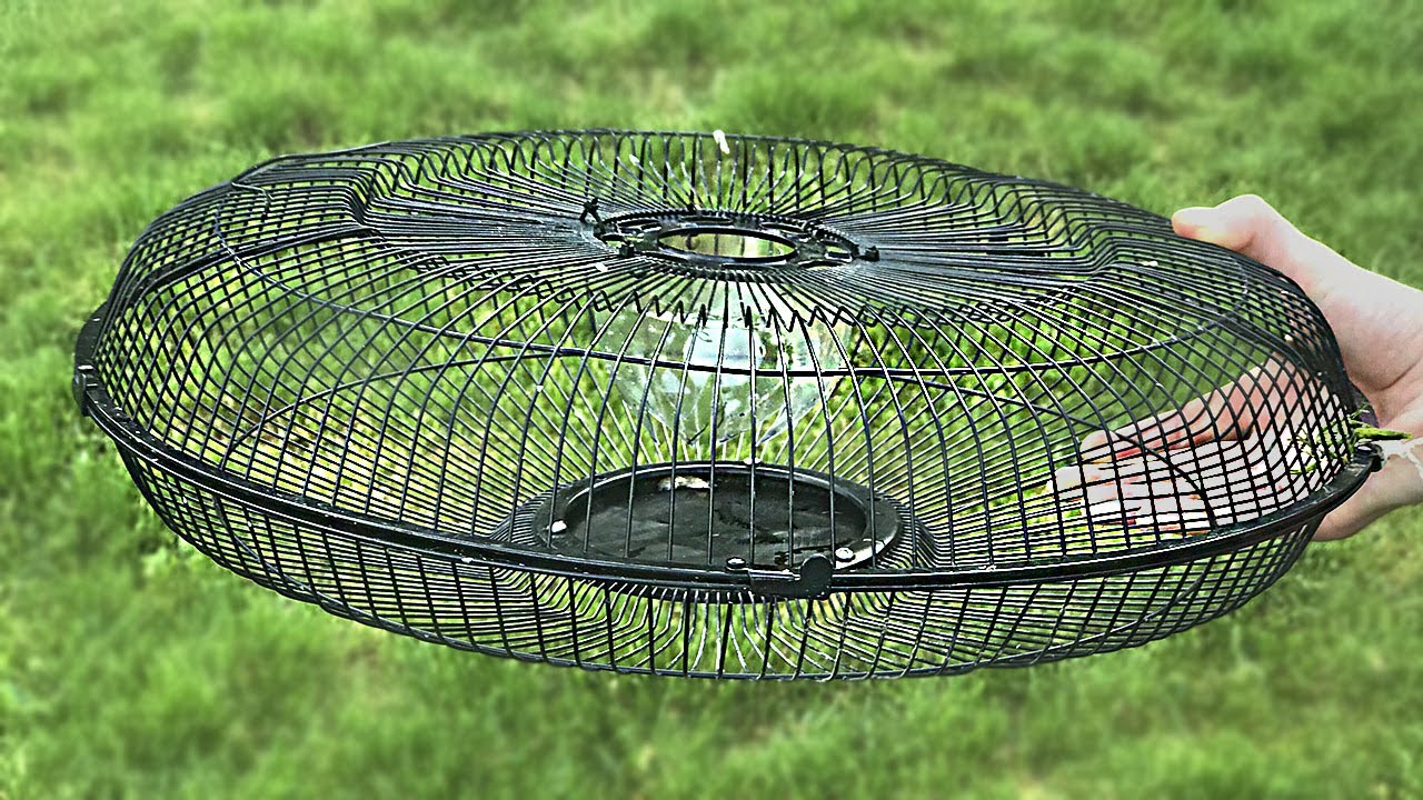 How to make a fish trap from Electric Fan Guard