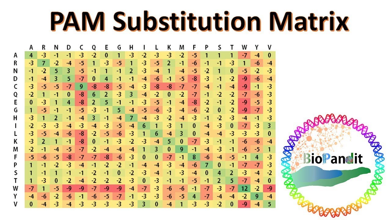 PAM Substitution Matrix