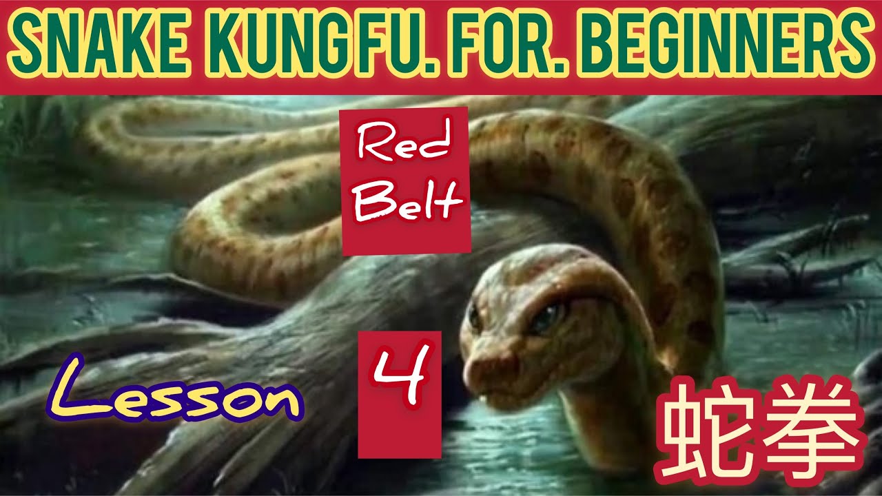 learning kung fu no matter where / snake kung fu for beginners lesson 4 / 蛇拳