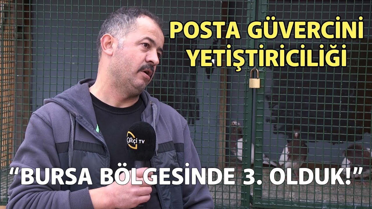 “Bursa Bölgesinde 3. Olduk!” / Posta Güvercinlerinin Bakımı ve Yetiştiriciliği - Süslü