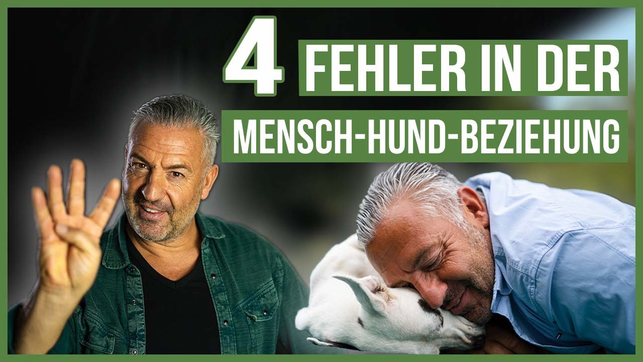 Vermeide diese 4 FEHLER in der Mensch-Hund-Beziehung! 😳