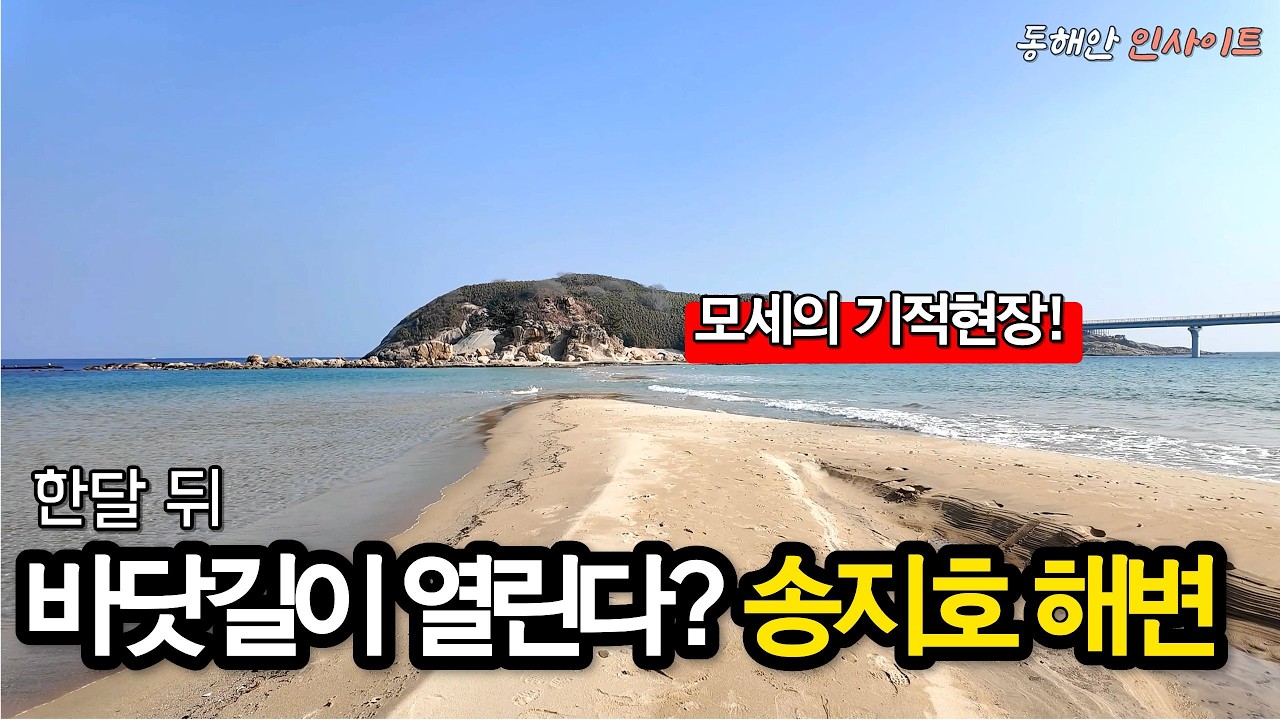 위성지도엔 없던 길, 송지호 모래톱 ‘모세의 기적’ 현장