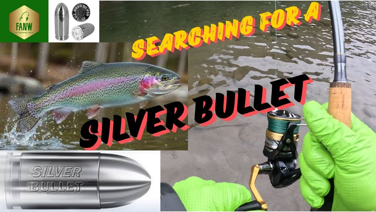 FANW - SEARCHING FOR A SILVER BULLET