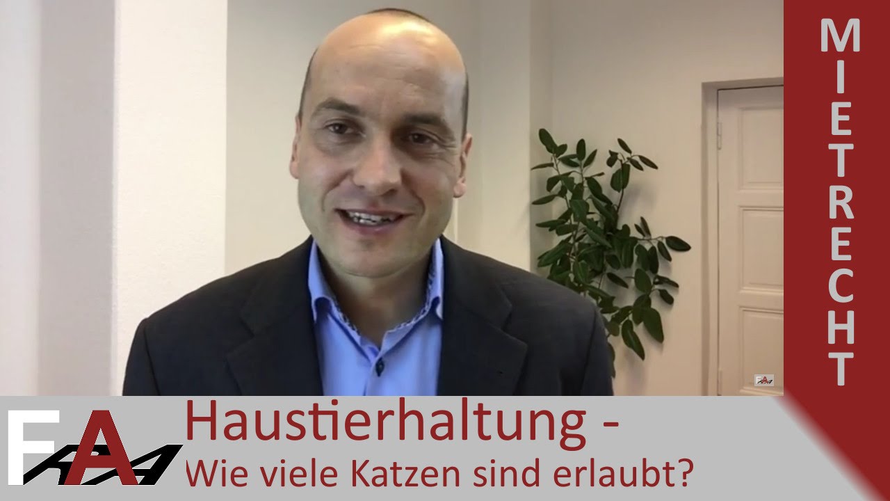 Haustierhaltung - Wie viele Katzen sind erlaubt? | Mietrecht
