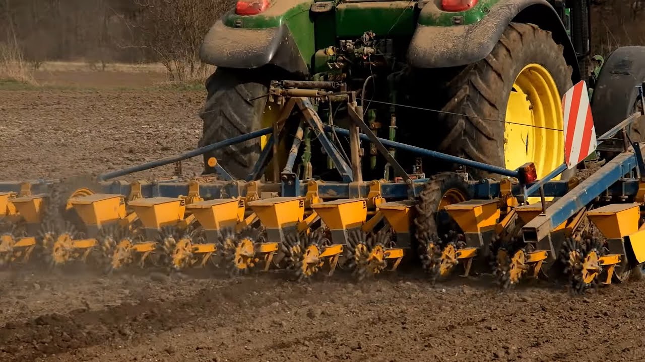 Rolnicy sieją buraki cukrowe. Jak to robią? Jakie obawy mają w tym sezonie?