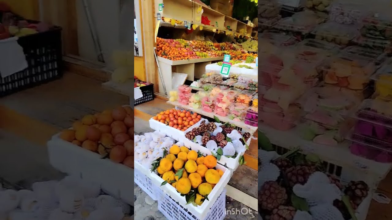 China. Off to Shangri-La. Yunnan. #solotravel #budgettravel 