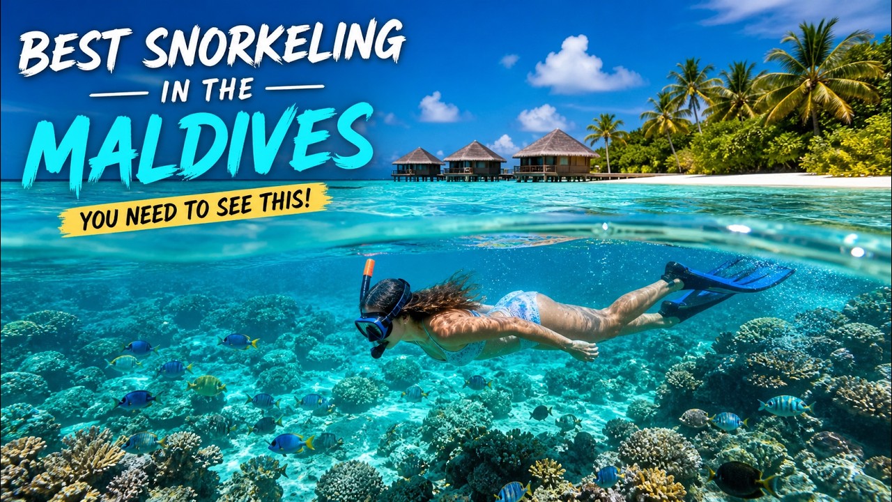 Tropical Fish Paradise | Snorkeling in the Maldives