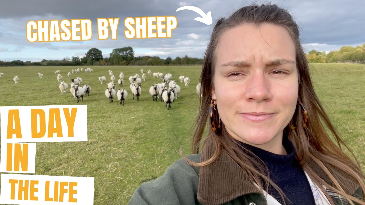EP5 - You Won't Believe What Happened on Our Gorgeous Autumn Walk in the Cotswolds!