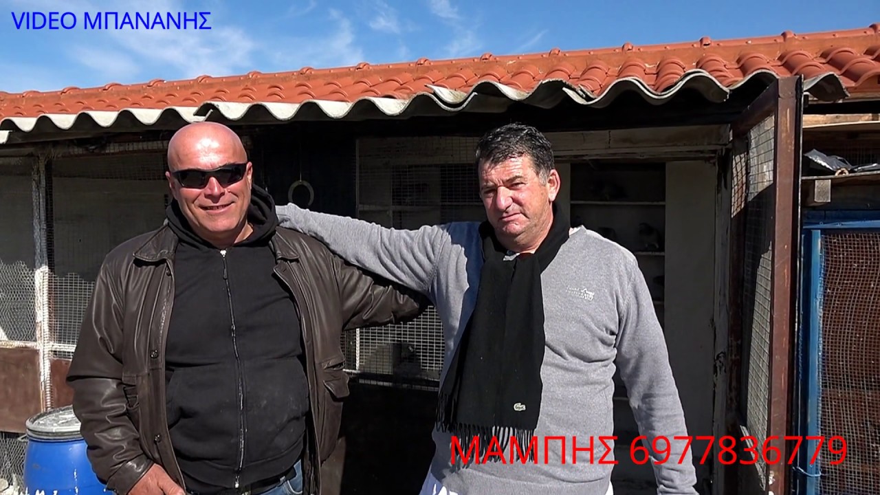 ΜΠΑΜΠΗΣ ΚΛΑΠ ΑΝΑΤ, ΘΕΣΣΑ, ΚΑΙ ΔΥΝΑΜΗ ΚΑΙ ΠΕΣΟ 2020
