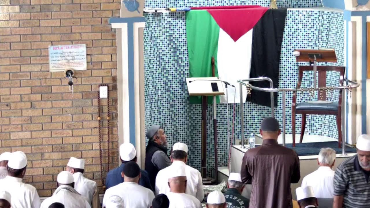 Live Stream
