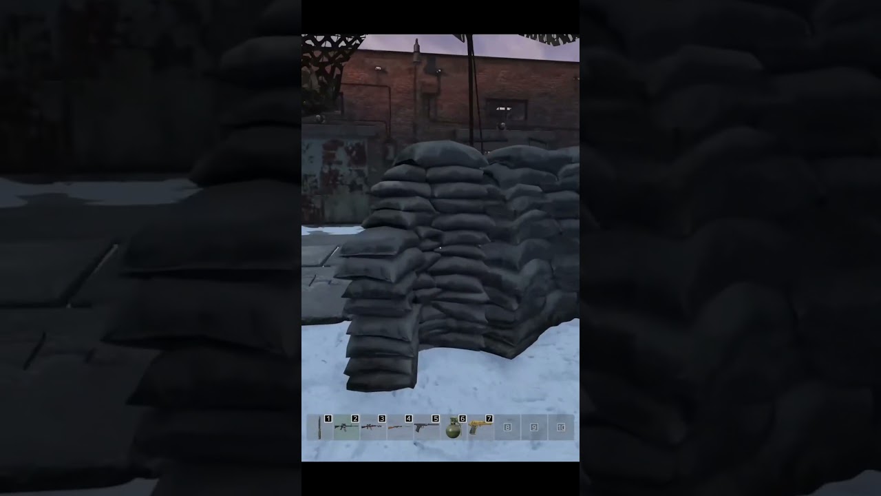 Кто ты воин ? #phantom #pvp #дейзи #выживание #dayz