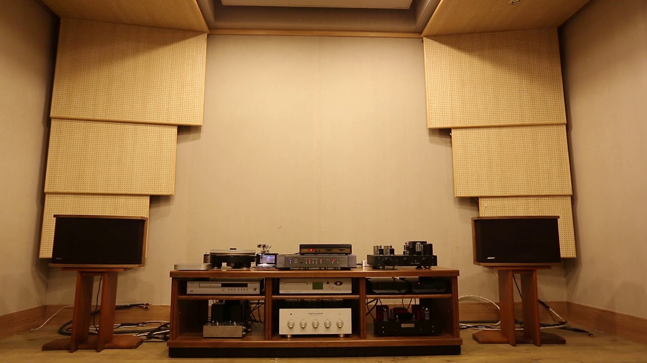 BOSE 901 VI Guitar