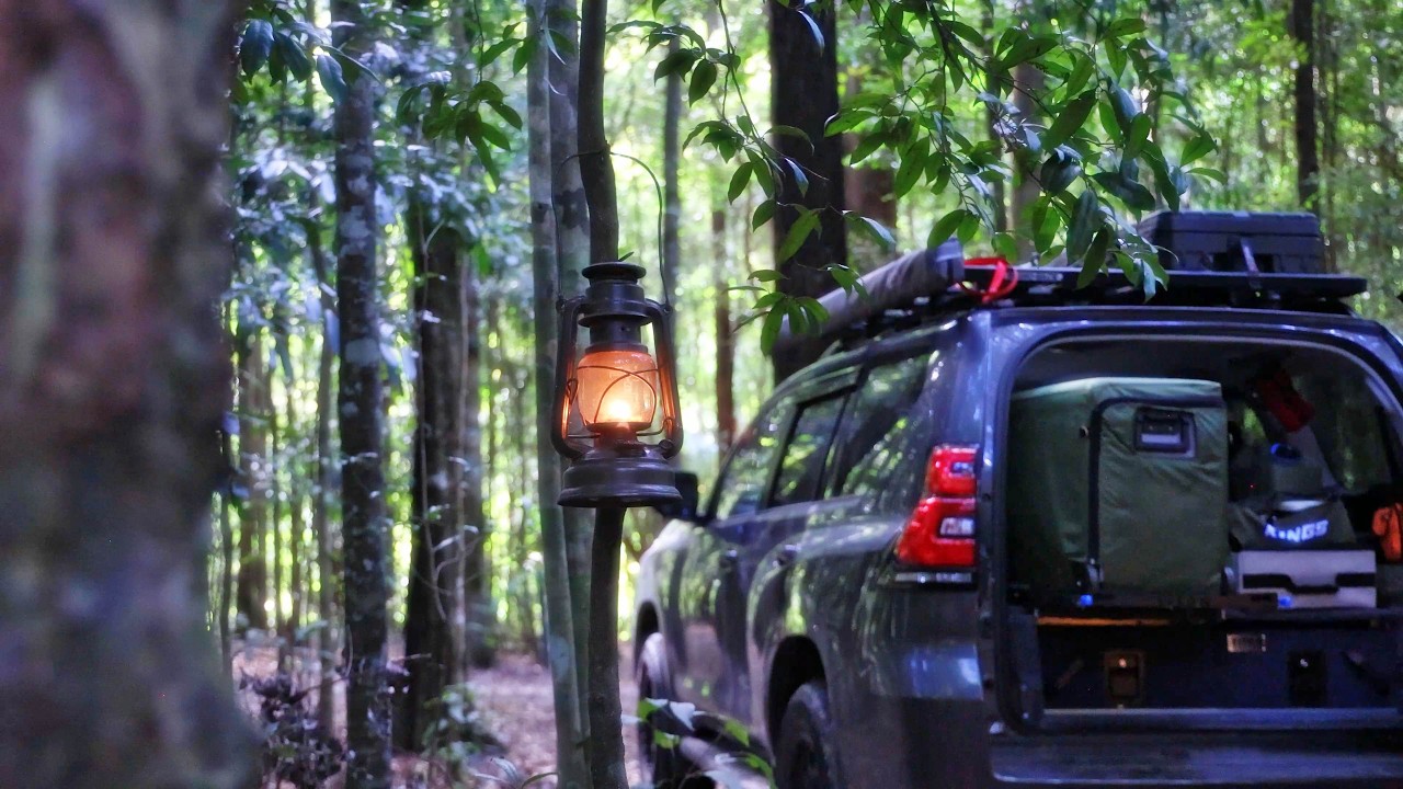 💯 Relaxing Healing Camp in a Deep Green Forest 🏕️ 🔥