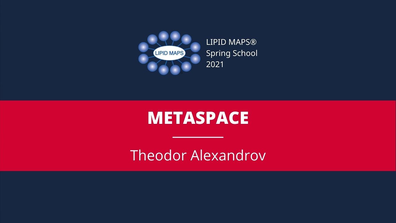 Teodor Aleksandrow - METASprzestrzeń