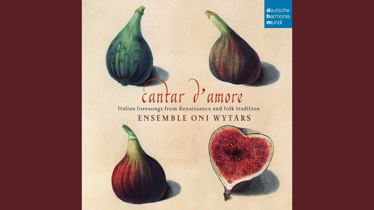 Cinquecento catenelle