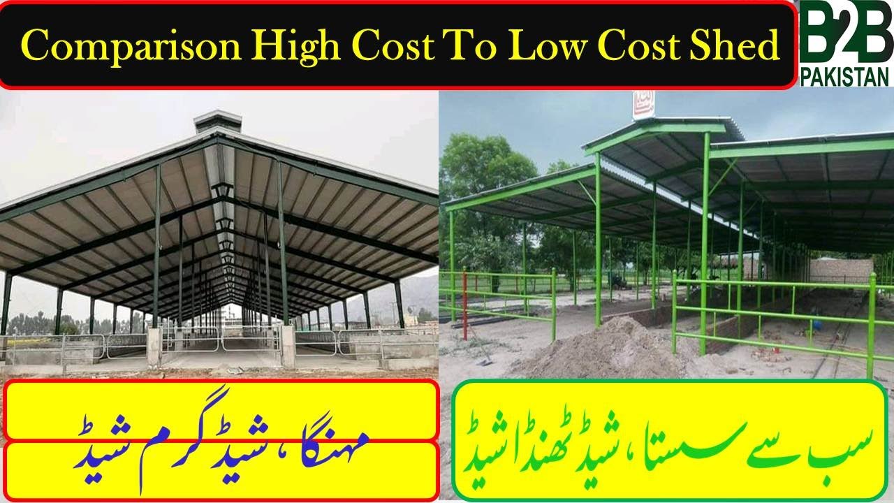 Cow Dairy Shed  Low Cost Animal Shed  جدید سہلولیات سے آراستہ