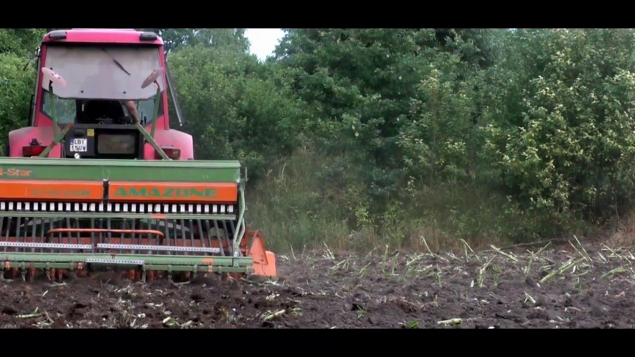 PRONAR / AMAZONE Drill-Star - Siew zboża