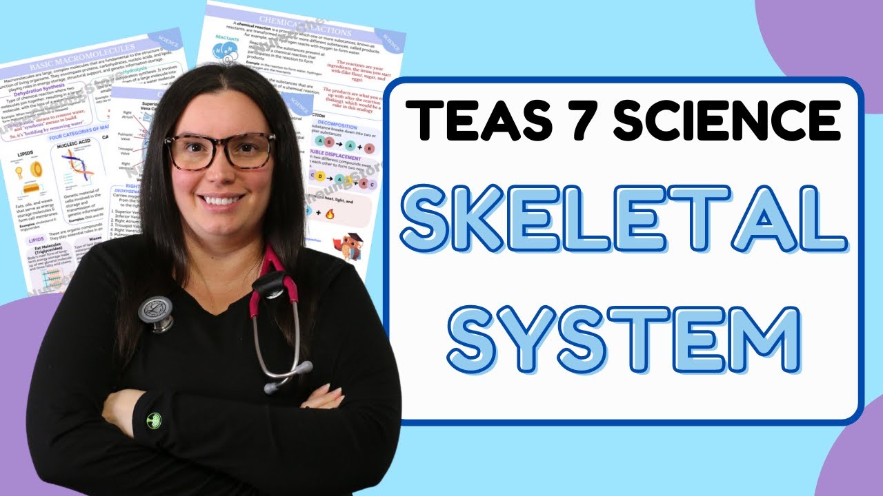 2025 ATI TEAS 7 Science Anatomy and Physiology Skeletal System with Nurse Cheung