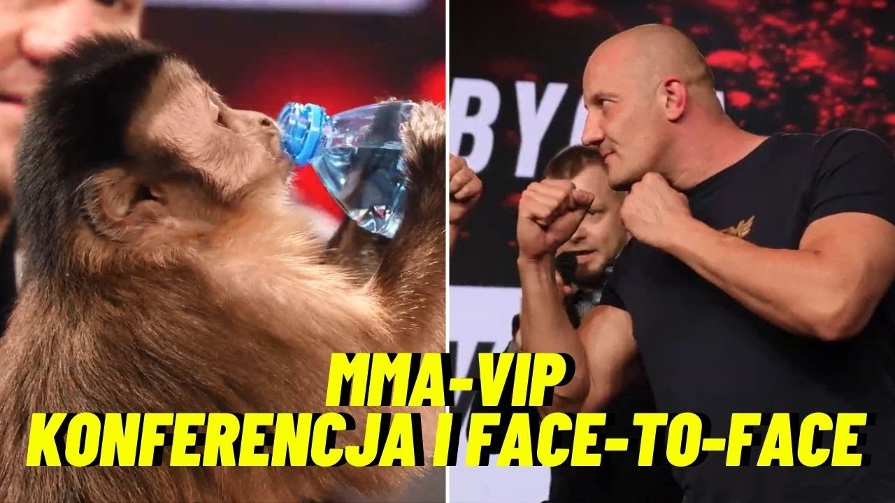 KONFERENCJA MMA-VIP 4 I FACE-TO-FACE 