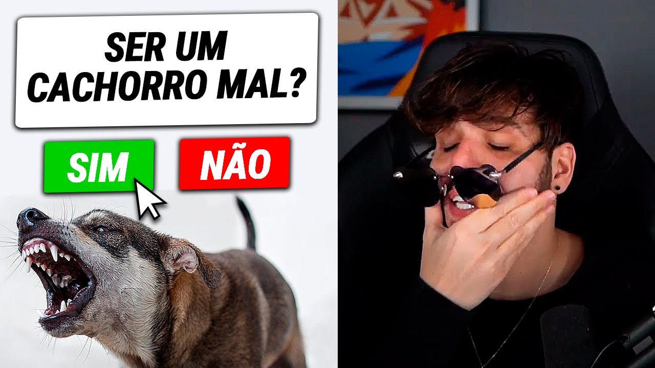 Testei um simulador de cachorro e tomei decisões horríveis na vida até agora