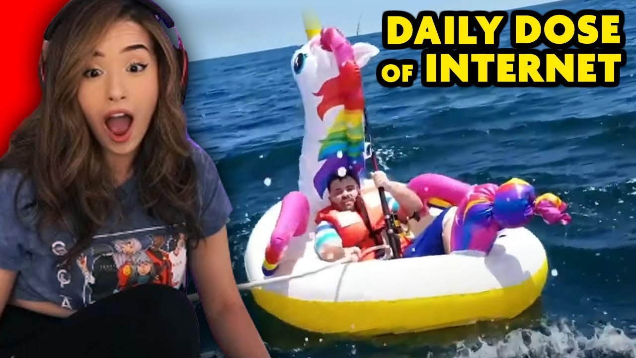 Pokimane reacts to Daily Dose of Internet