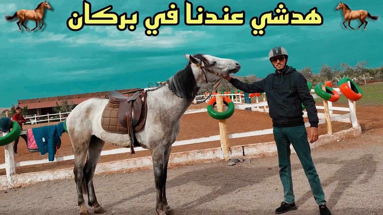 اول نادي للفروسية بمدينة بركان شي حاجة بزااف 😍🐎 The first equestrian club in Berkane