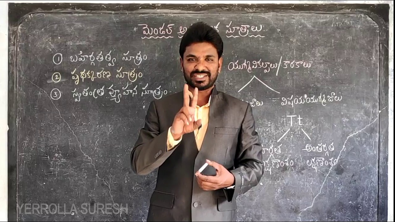MENDEL LAWS OF INHERITANCE (Telugu)  మెండల్ అనువంశిక సూత్రాలు