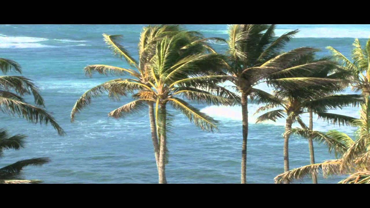 Tide is high Instrumental