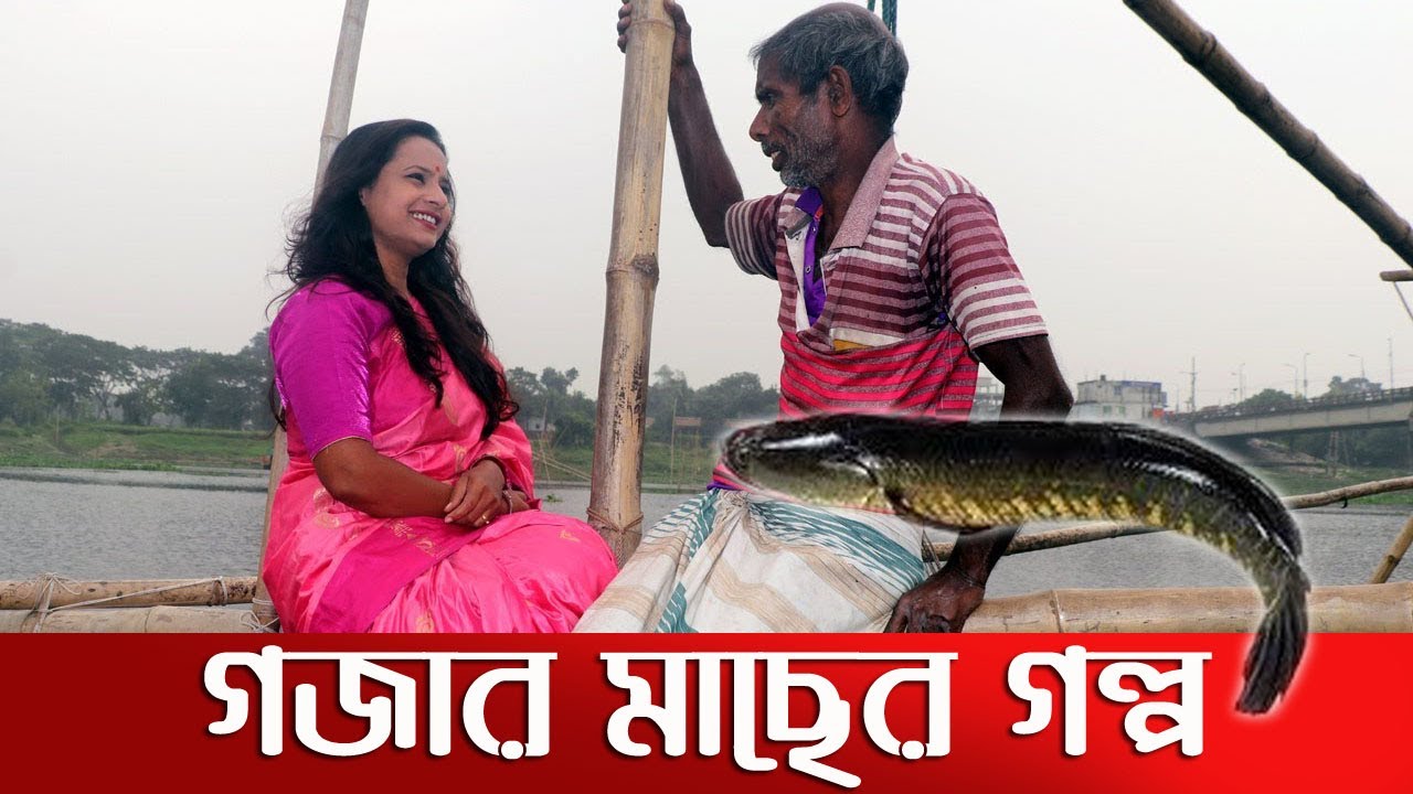 নদীর দেবতা ভয়ংকর গজার মাছের গল্প শুনলাম || Traditional Village Fishing in Bangladesh
