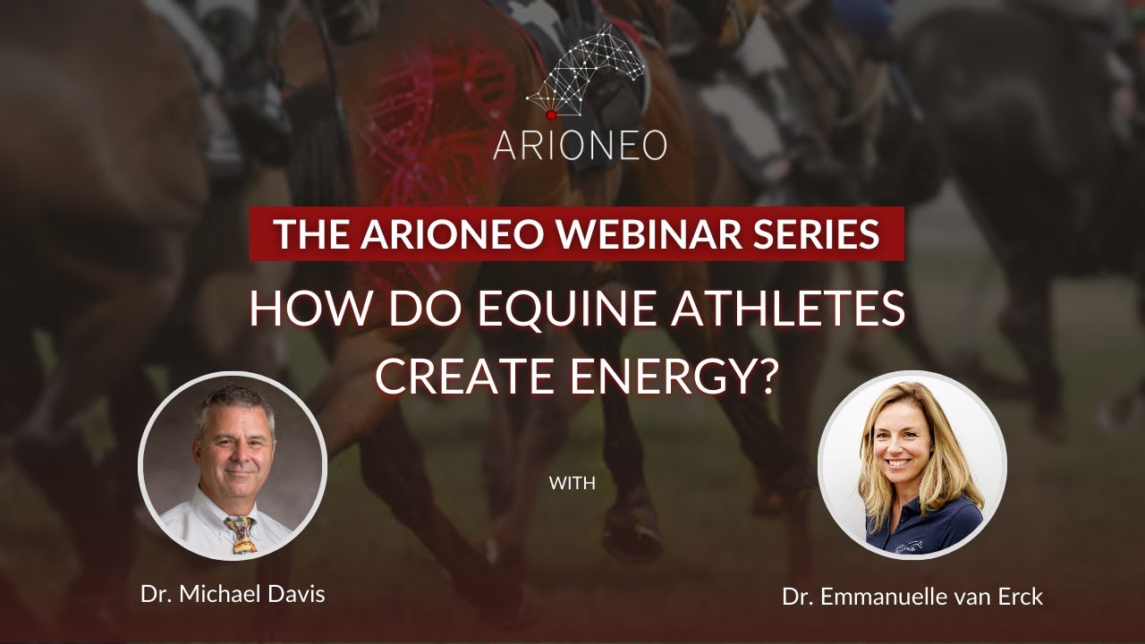 WEBINAR - How do equine athletes create energy? From rest to maximal exercise 📉📈