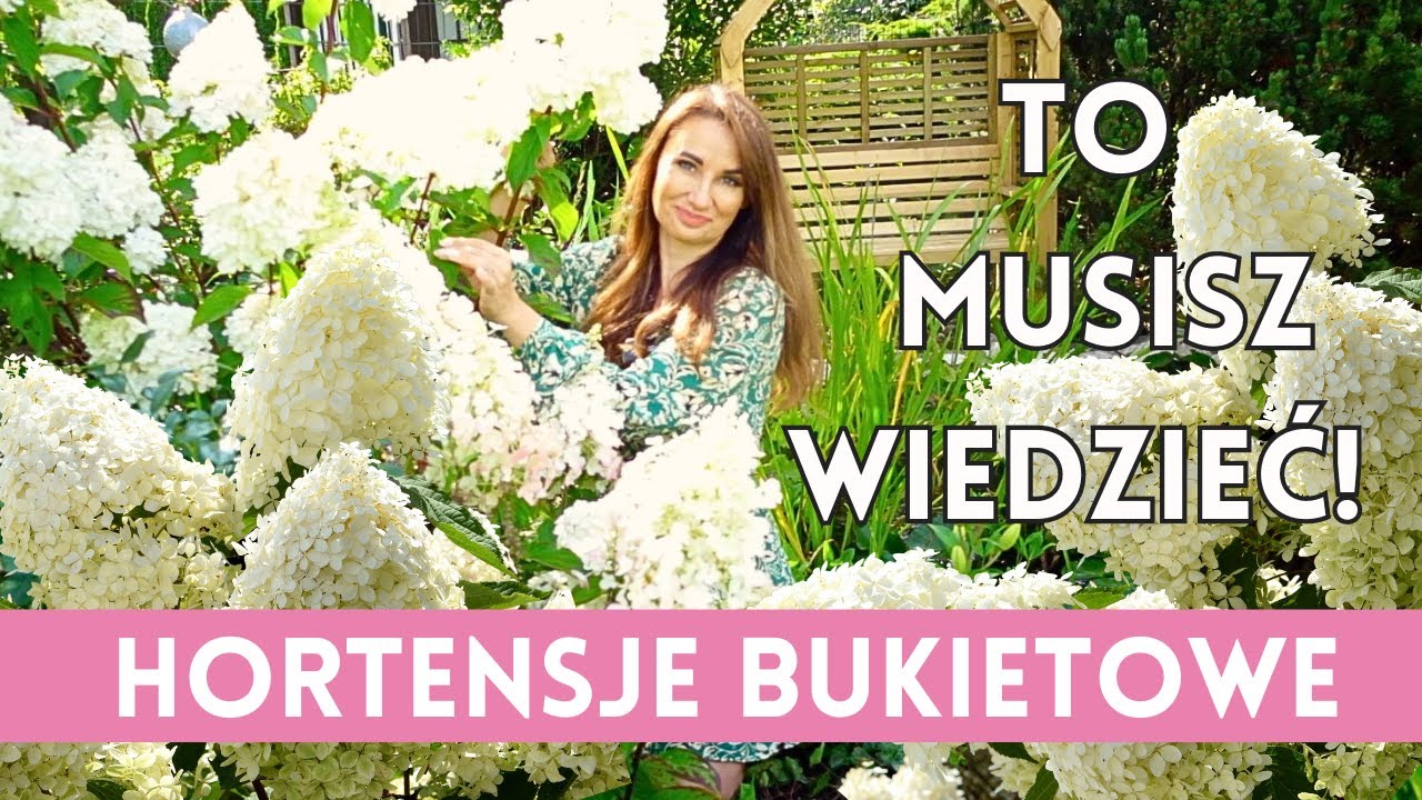 HORTENSJE BUKIETOWE w ogrodzie - Wszystko co musisz wiedzieć!