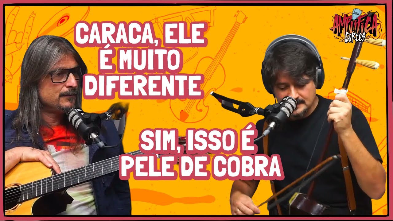 ERHU o INSTRUMENTO CHINÊS
