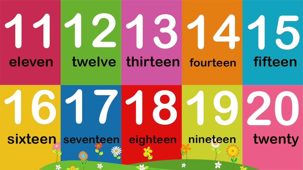 Thanh nấm - Học đếm số từ 11 đến 20 bằng tiếng anh / count numbers in english