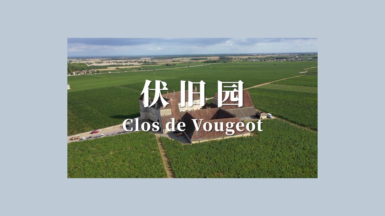 法国葡萄酒的精神家园 丨勃艮第 Clos de Vougeot 伏旧园