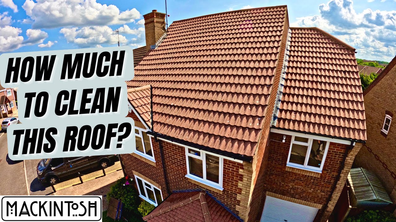 How Much Did It Cost To Clean This Roof?