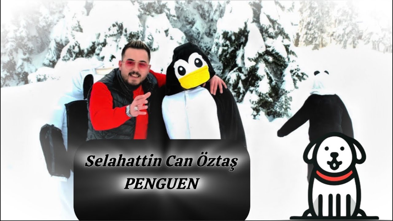 Selahattin Can Öztaş - Penguen 2026 HD KLİP 