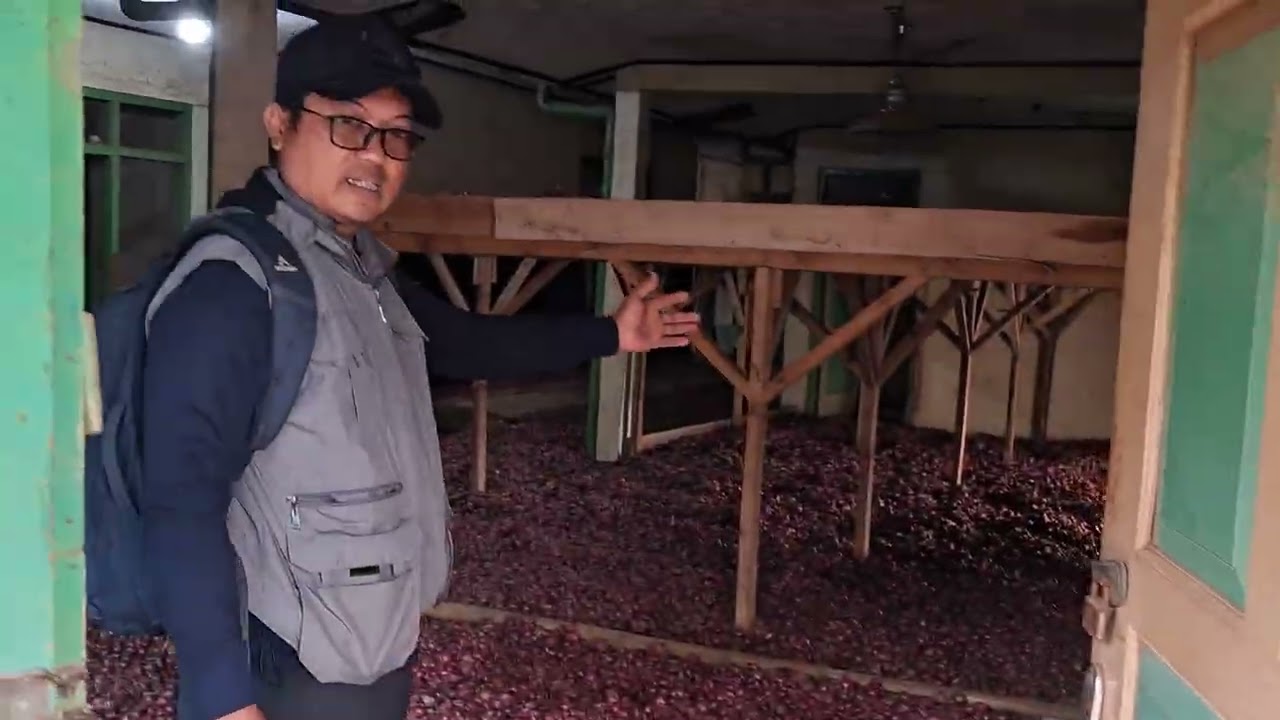 rumah bawang