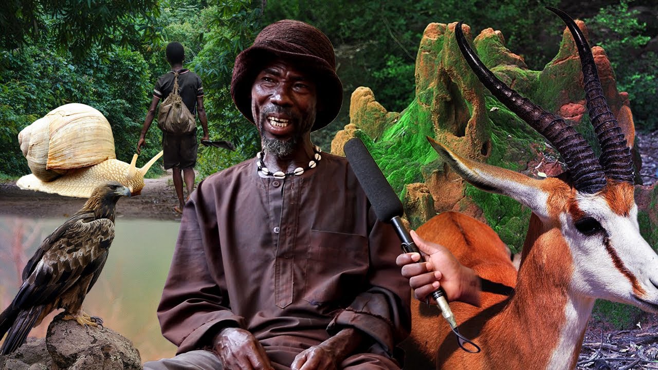 The Untold Story Of How Ghanaian/African Hunters Hunt For bushmeat, Man Narrate His- with Gain Snail