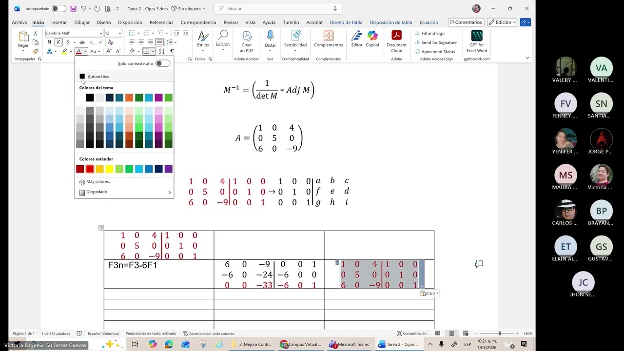 Algebra Lineal - Tarea 2 Cipas 3