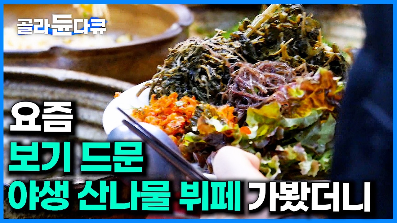 30종의 봄나물 완전정복! 맛과 건강 제대로 챙기는 나물 무한리필 뷔페ㅣ지리산 인근 산에서 직접 캔 봄나물ㅣ봄나물과 비슷하게 생긴 독초 ㅣ극한직업│#골라듄다큐