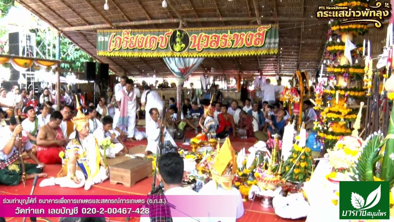 Live พิธีกรรมโนราโรงครูท่าแค วันที่ 6 พฤษภาคม 2566 ณ วัดท่าแค วันสุดท้าย
